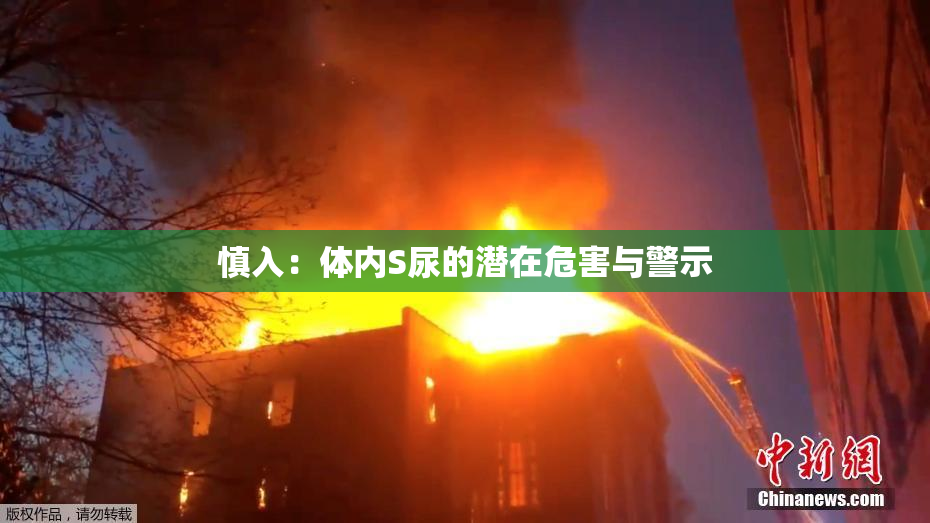 慎入：体内S尿的潜在危害与警示