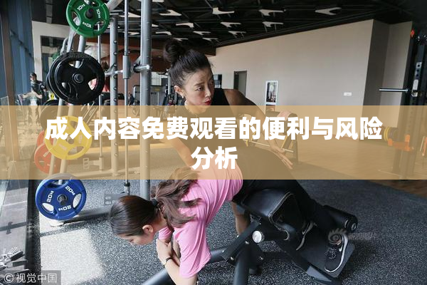 成人内容免费观看的便利与风险分析