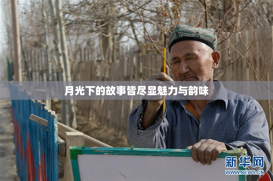 月光下的故事皆尽显魅力与韵味