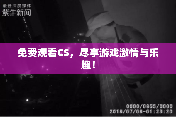 免费观看CS，尽享游戏激情与乐趣！