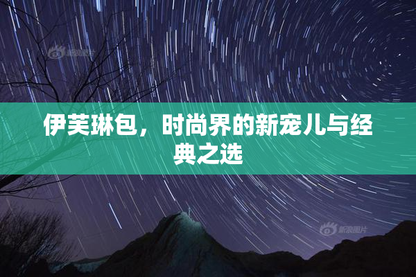 伊芙琳包，时尚界的新宠儿与经典之选