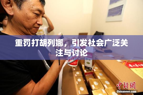 重罚打胡列娜，引发社会广泛关注与讨论