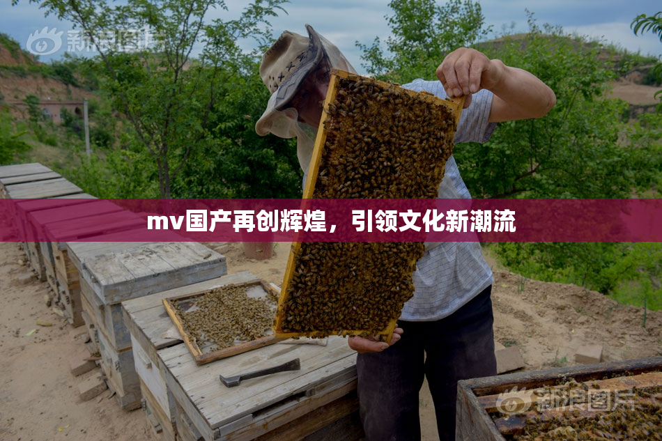 mv国产再创辉煌，引领文化新潮流