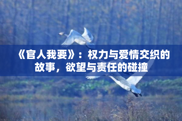 《官人我要》：权力与爱情交织的故事，欲望与责任的碰撞