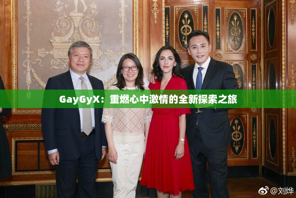 GayGyX：重燃心中激情的全新探索之旅
