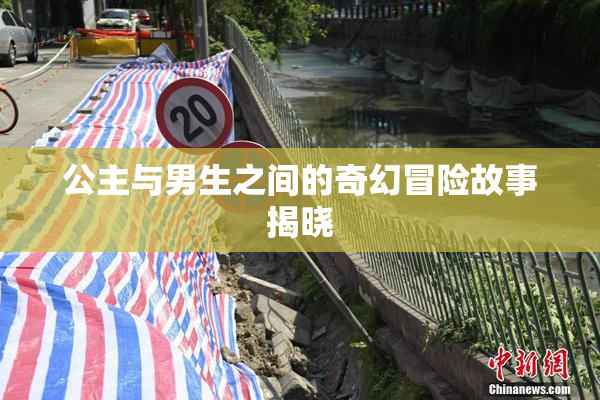 公主与男生之间的奇幻冒险故事揭晓