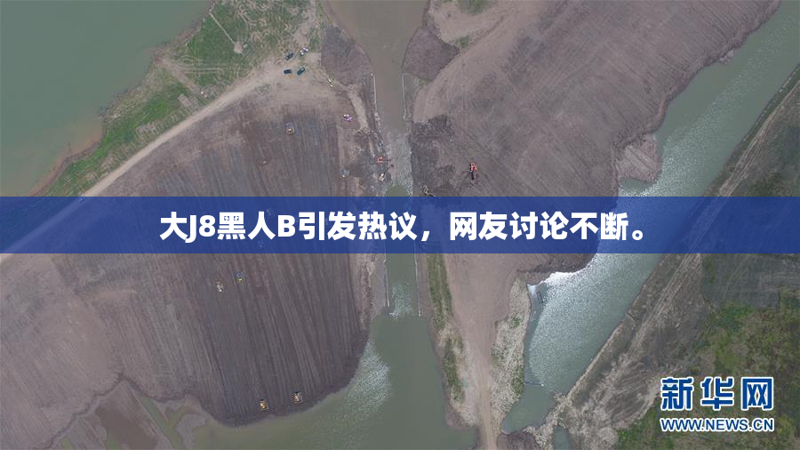 大J8黑人B引发热议，网友讨论不断。