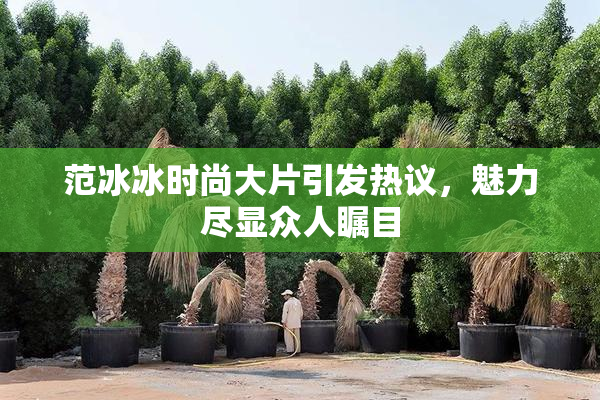 范冰冰时尚大片引发热议，魅力尽显众人瞩目