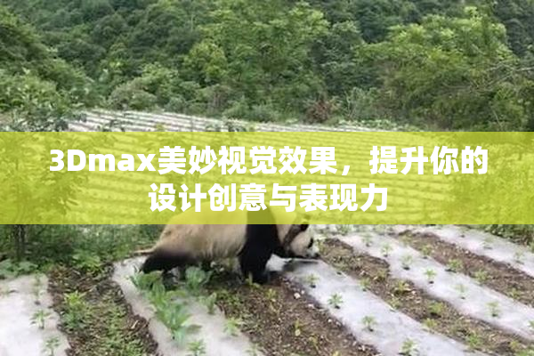 3Dmax美妙视觉效果，提升你的设计创意与表现力