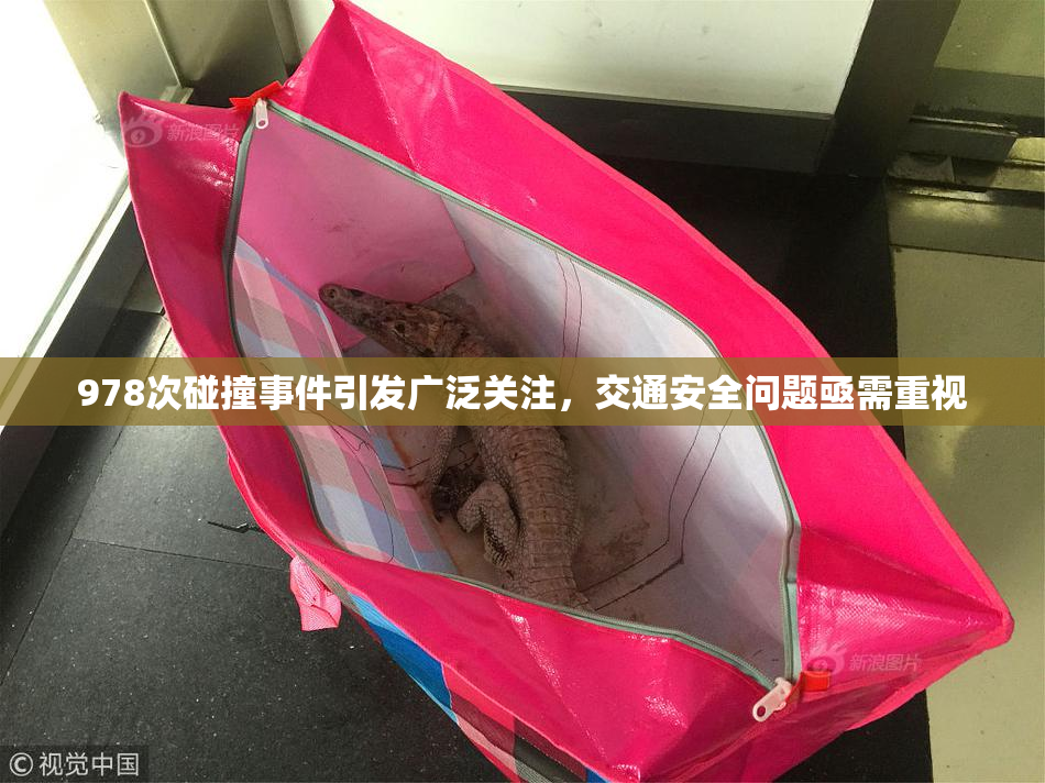 978次碰撞事件引发广泛关注，交通安全问题亟需重视