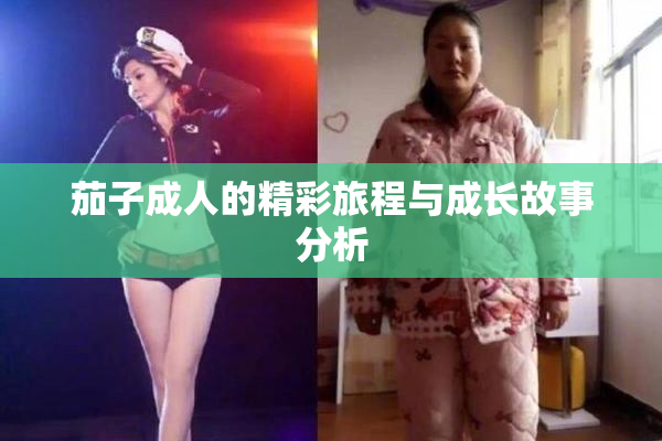 茄子成人的精彩旅程与成长故事分析