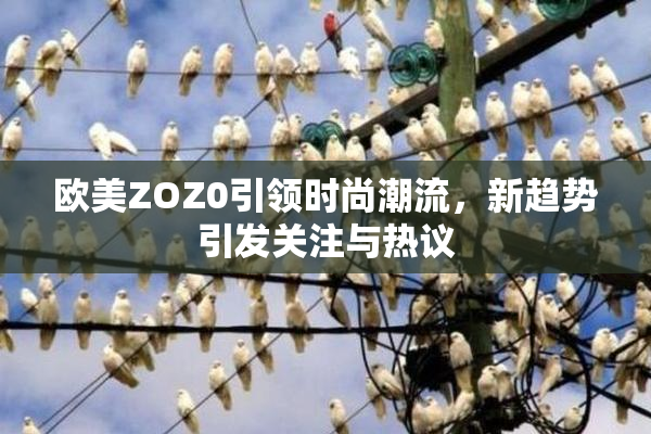 欧美ZOZ0引领时尚潮流，新趋势引发关注与热议