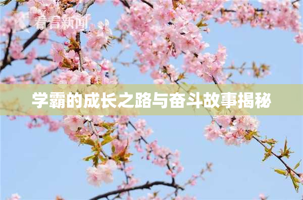 学霸的成长之路与奋斗故事揭秘