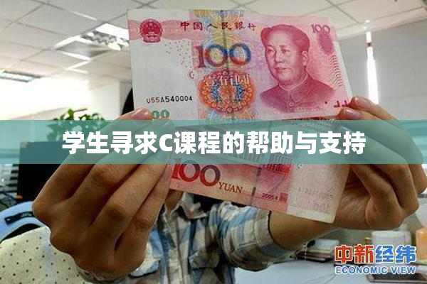 学生寻求C课程的帮助与支持