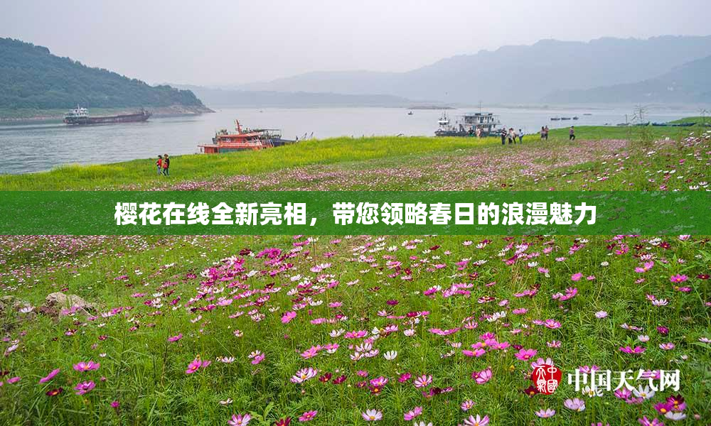 樱花在线全新亮相，带您领略春日的浪漫魅力
