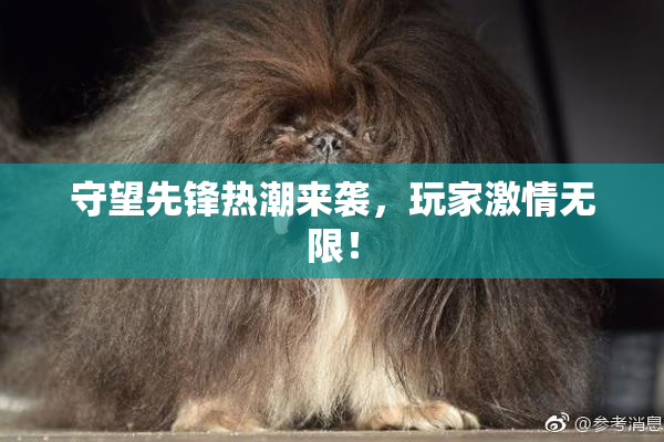 守望先锋热潮来袭，玩家激情无限！