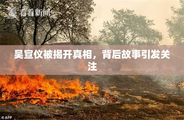 吴宣仪被揭开真相，背后故事引发关注