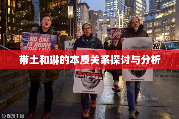 带土和琳的本质关系探讨与分析