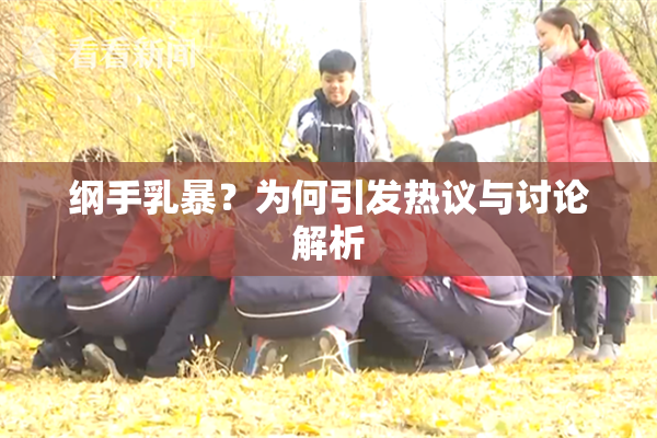 纲手乳暴？为何引发热议与讨论解析