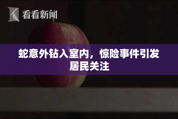 蛇意外钻入室内，惊险事件引发居民关注