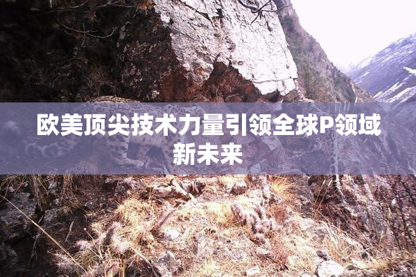 欧美顶尖技术力量引领全球P领域新未来