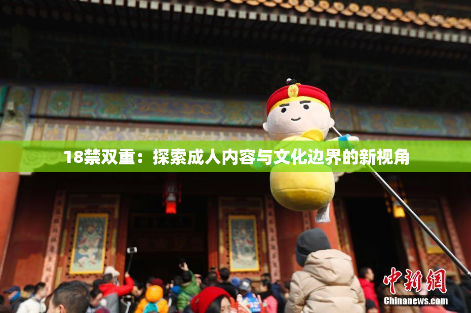 18禁双重：探索成人内容与文化边界的新视角