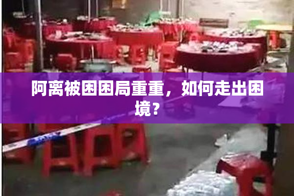 阿离被困困局重重，如何走出困境？