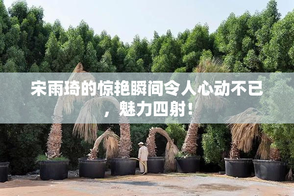 宋雨琦的惊艳瞬间令人心动不已，魅力四射！