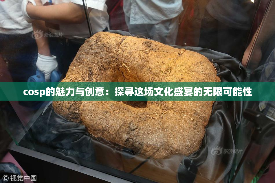 cosp的魅力与创意：探寻这场文化盛宴的无限可能性