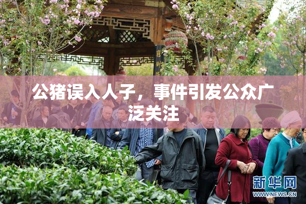 公猪误入人子，事件引发公众广泛关注