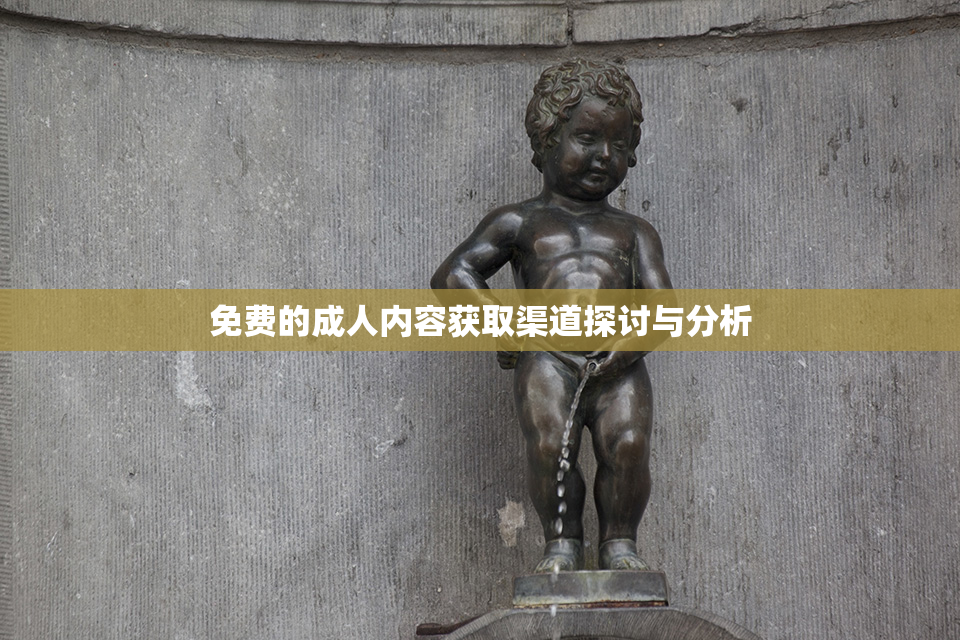 免费的成人内容获取渠道探讨与分析