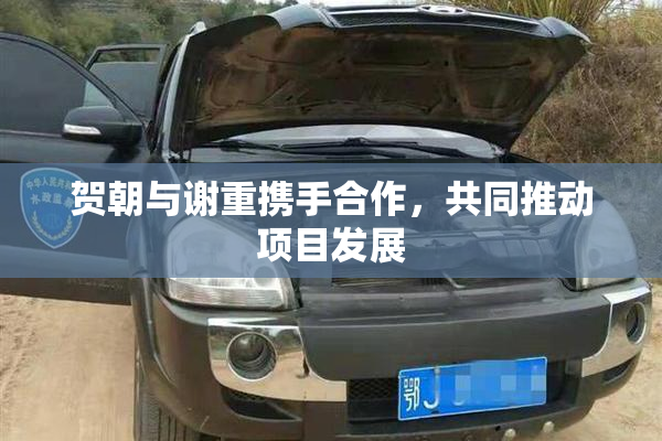 贺朝与谢重携手合作，共同推动项目发展