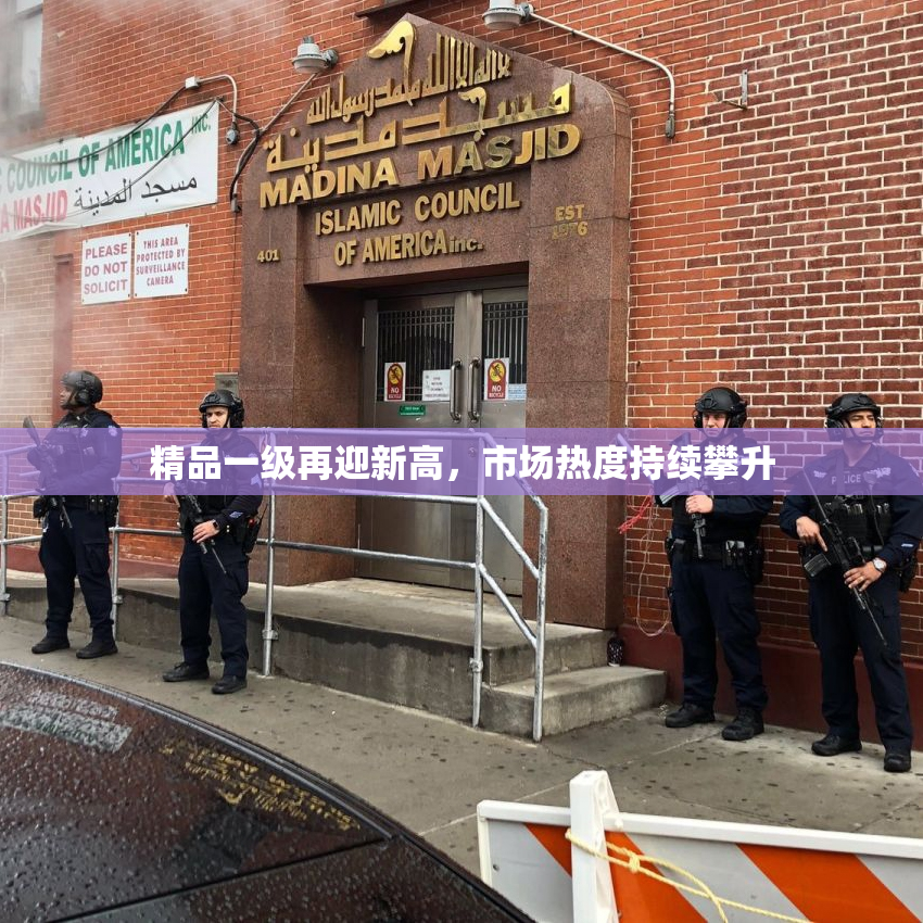 精品一级再迎新高，市场热度持续攀升