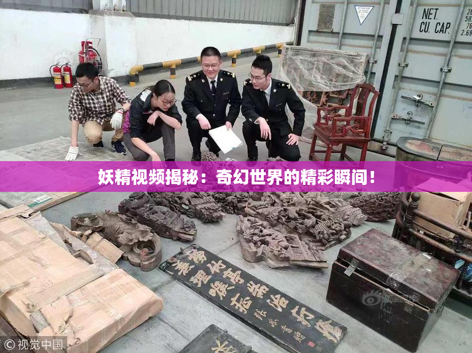 妖精视频揭秘：奇幻世界的精彩瞬间！