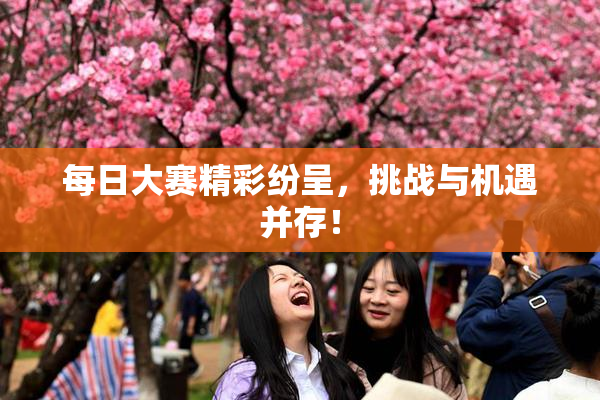 每日大赛精彩纷呈，挑战与机遇并存！