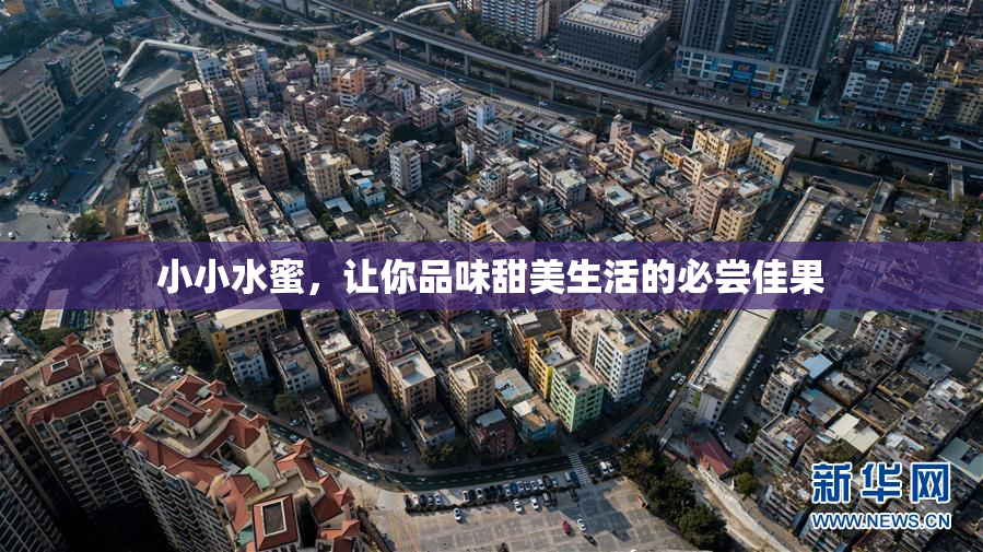 小小水蜜，让你品味甜美生活的必尝佳果
