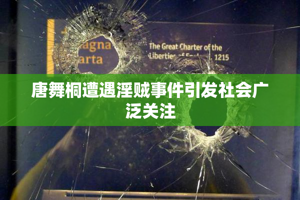 唐舞桐遭遇淫贼事件引发社会广泛关注