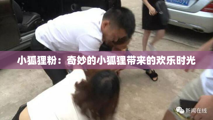 小狐狸粉：奇妙的小狐狸带来的欢乐时光