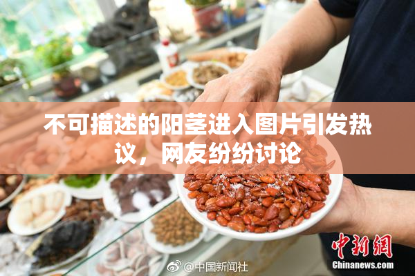 不可描述的阳茎进入图片引发热议，网友纷纷讨论