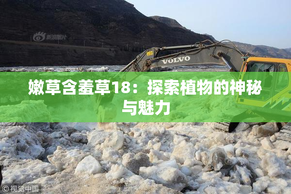 嫩草含羞草18：探索植物的神秘与魅力