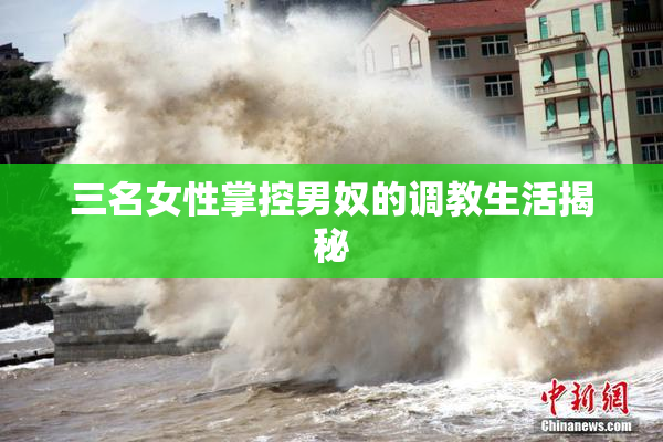 三名女性掌控男奴的调教生活揭秘
