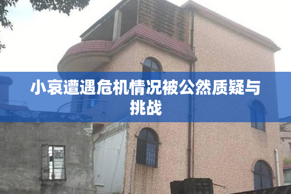 小哀遭遇危机情况被公然质疑与挑战
