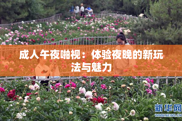 成人午夜啪视：体验夜晚的新玩法与魅力
