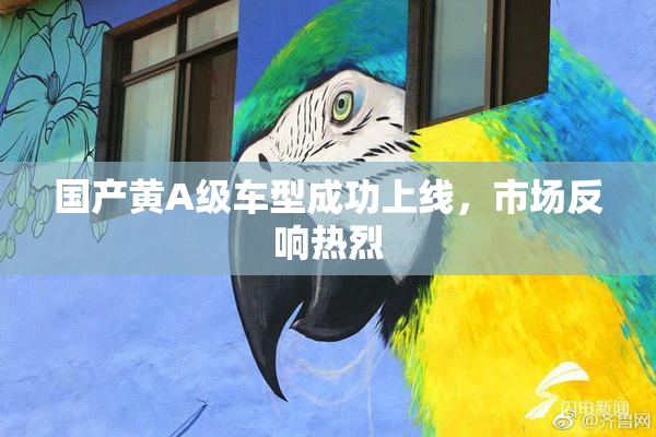 国产黄A级车型成功上线，市场反响热烈