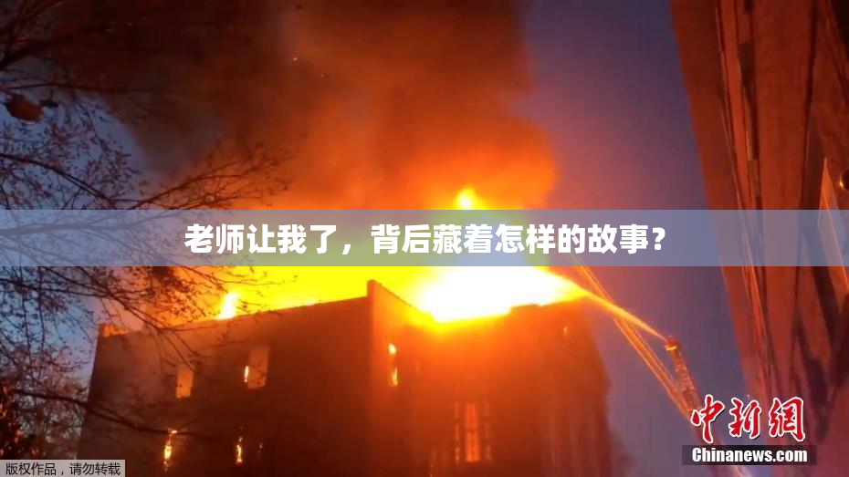 老师让我了，背后藏着怎样的故事？