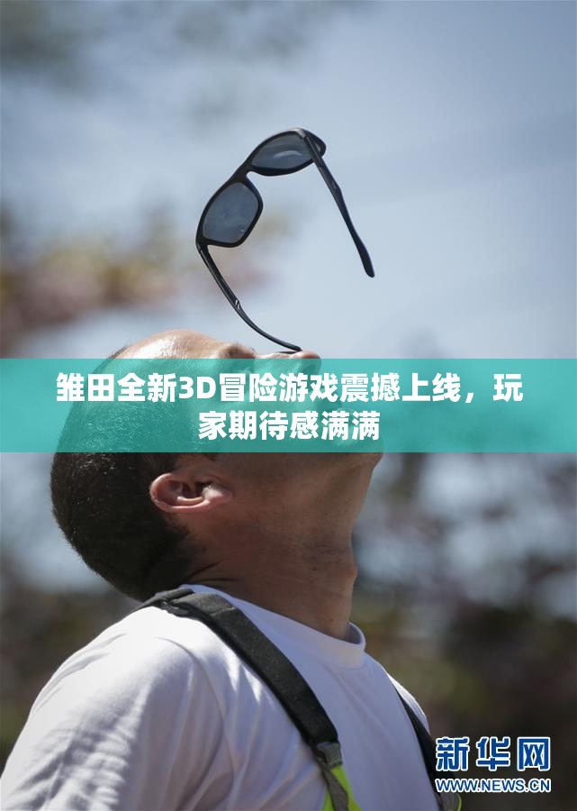 雏田全新3D冒险游戏震撼上线，玩家期待感满满