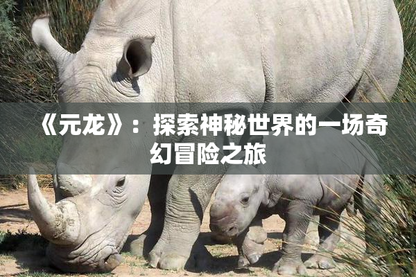 《元龙》：探索神秘世界的一场奇幻冒险之旅