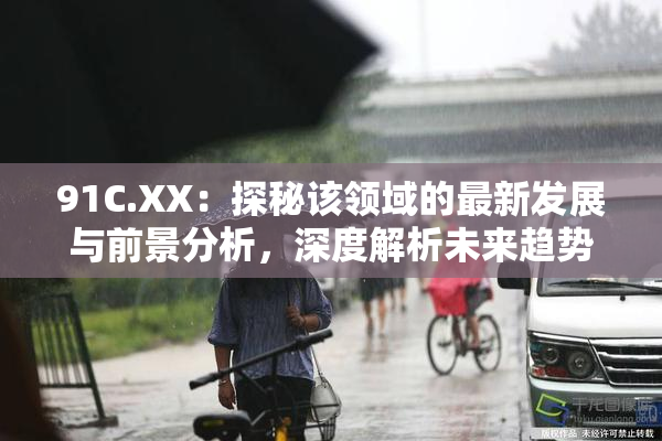 91C.XX：探秘该领域的最新发展与前景分析，深度解析未来趋势！
