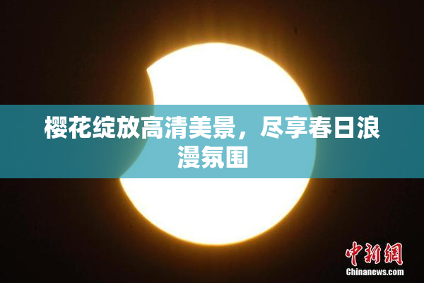 樱花绽放高清美景，尽享春日浪漫氛围