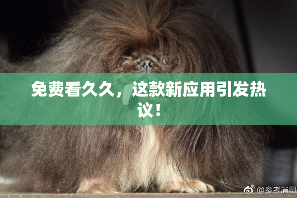 免费看久久，这款新应用引发热议！